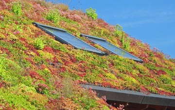 Fordstreet living roof systems