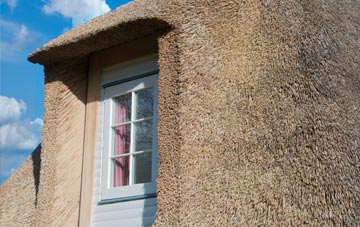 Fordstreet thatch roof disadvantages
